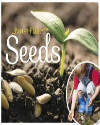 Seeds