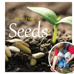 Bertrand.pt - Seeds