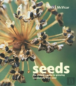 Bertrand.pt - Seeds