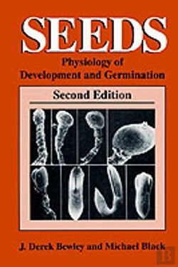 Bertrand.pt - Seeds