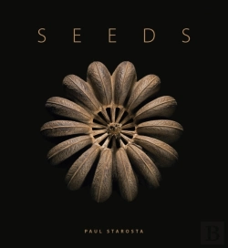 Bertrand.pt - Seeds
