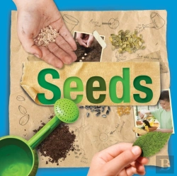 Bertrand.pt - Seeds
