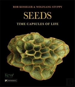 Bertrand.pt - Seeds