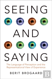 Seeing And Saying