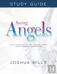Seeing Angels Study Guide