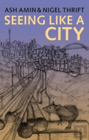 Seeing Like A City