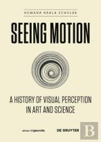 Seeing Motion
