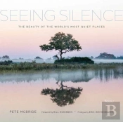 Seeing Silence