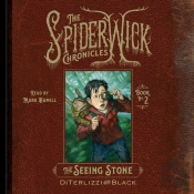 Seeing Stone