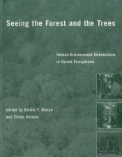 Seeing The Forest And The Trees