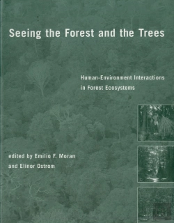 Bertrand.pt - Seeing The Forest And The Trees