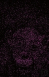 Seeing The Unseen