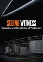 Seeing Witness