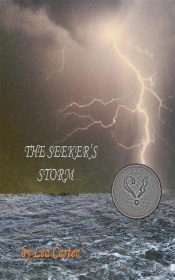 Seeker'S Storm (Bk 6)