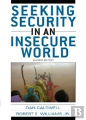 Seeking Security In An Insecure World