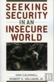 Seeking Security In An Insecure World