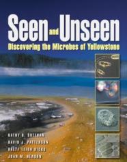 Seen And Unseen