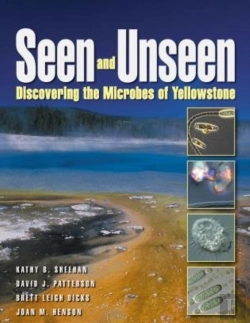 Bertrand.pt - Seen And Unseen