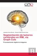 Segmentacion De Tumores Cerebrales En Irm, Via Graph Cuts