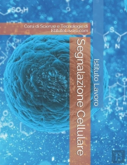 Bertrand.pt - Segnalazione Cellulare