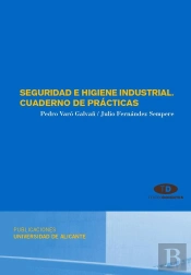 Seguridad E Higiene Industrial