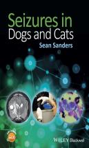Seizures In Dogs And Cats