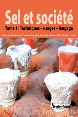 Bertrand.pt - Sel Et Société Tome 1 ; Techniques ; Usages ; Langage