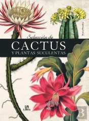 Selección De Cactus Y Plantas Suculentas