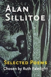 Selected Poems Chosen By Ruth Fainlight