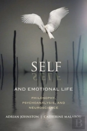 Self And Emotional Life