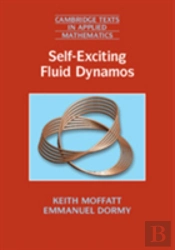 Self-Exciting Fluid Dynamos