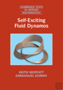 Bertrand.pt - Self-Exciting Fluid Dynamos