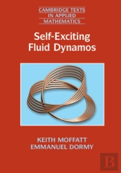Self-Exciting Fluid Dynamos