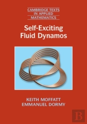 Self-Exciting Fluid Dynamos