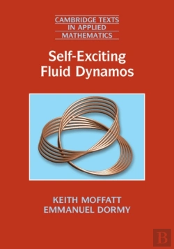 Bertrand.pt - Self-Exciting Fluid Dynamos