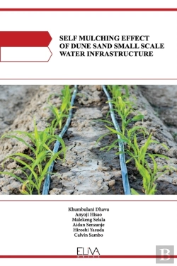 Bertrand.pt - Self Mulching Effect Of Dune Sand Small Scale Water Infrastructure