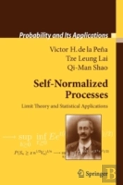 Self-Normalized Processes