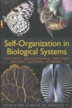 Bertrand.pt - Self-Organization In Biological Systems