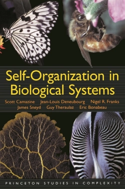 Bertrand.pt - Self-Organization In Biological Systems