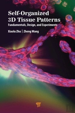 Bertrand.pt - Self-Organized 3d Tissue Patterns