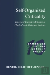 Self-Organized Criticality