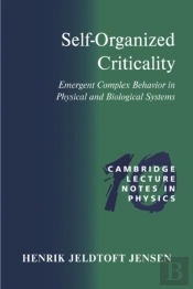 Self-Organized Criticality