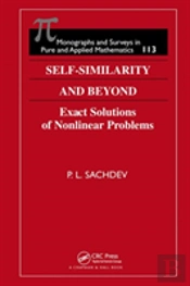 Self-Similarity And Beyond
