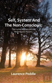 Self, System And The  Non-Conscious