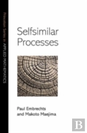 Selfsimilar Processes