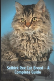 Selkirk Rex Cat Breed  - A Complete Guide