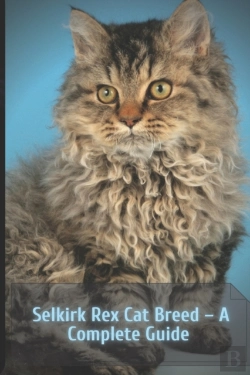 Bertrand.pt - Selkirk Rex Cat Breed  - A Complete Guide