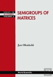 Semigroups Of Matrices