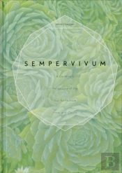 Sempervivum