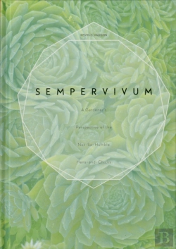 Bertrand.pt - Sempervivum